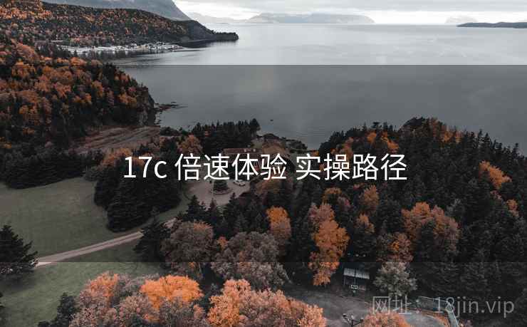 17c 倍速体验 实操路径