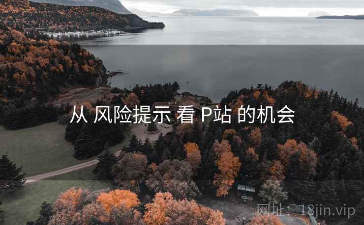 从 风险提示 看 P站 的机会 从 风险提示 看 P站 的机会