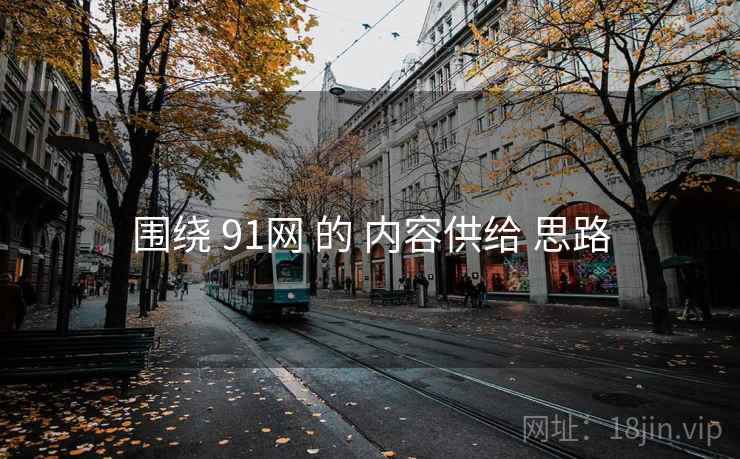 围绕 91网 的 内容供给 思路