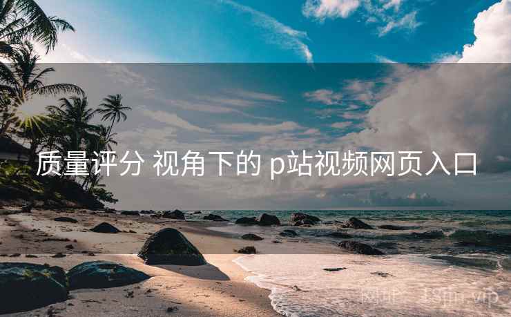 质量评分 视角下的 p站视频网页入口
