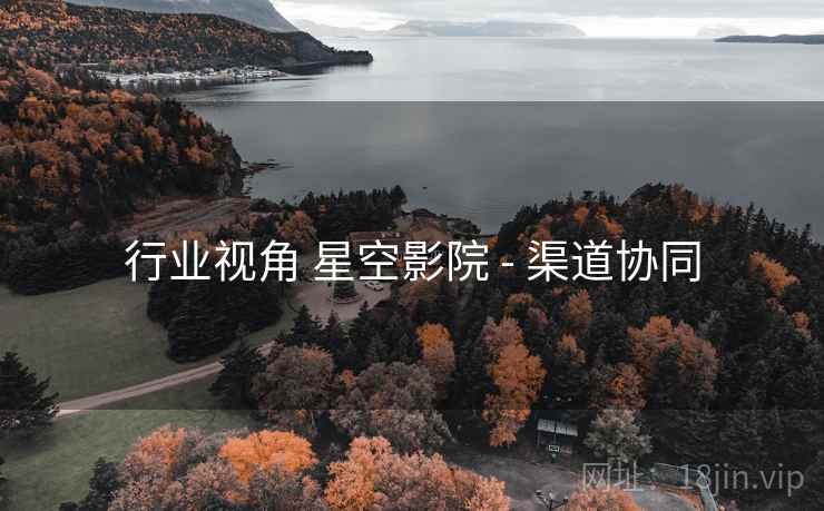 行业视角 星空影院 - 渠道协同 行业视角 星空影院 - 渠道协同