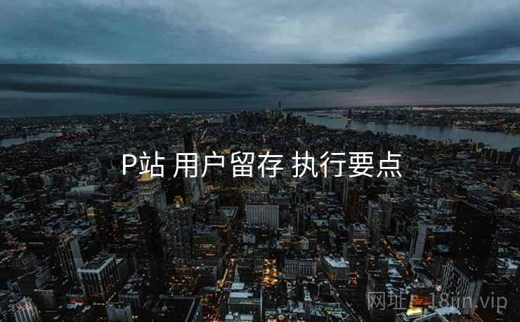 P站 用户留存 执行要点 P站 用户留存 执行要点